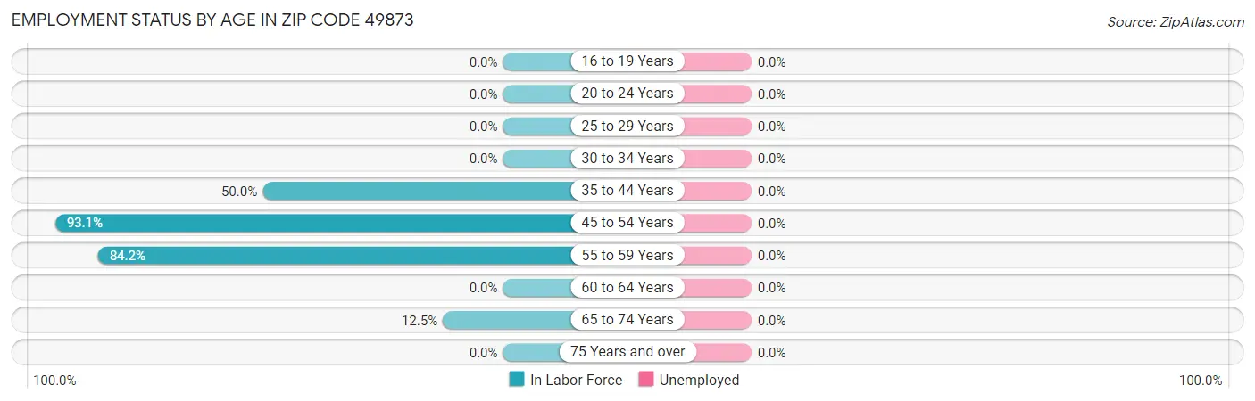 Employment Status by Age in Zip Code 49873