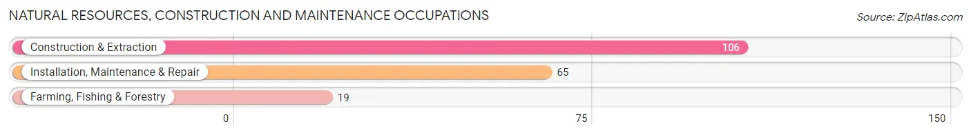 Natural Resources, Construction and Maintenance Occupations in Zip Code 49878