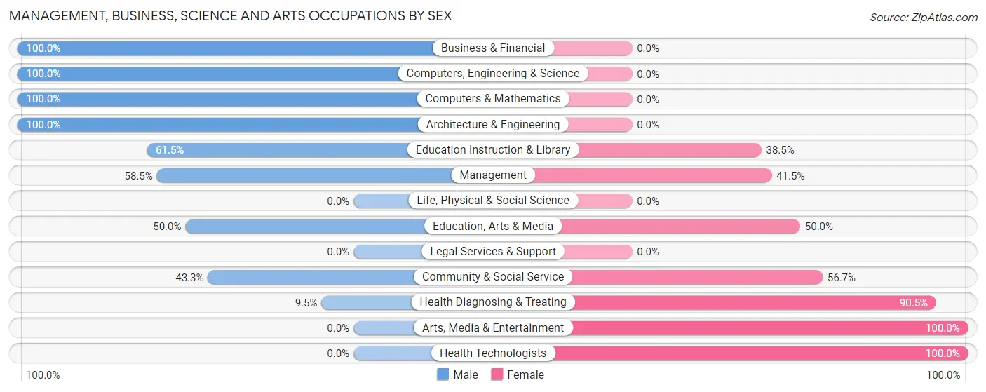 Management, Business, Science and Arts Occupations by Sex in Zip Code 49880