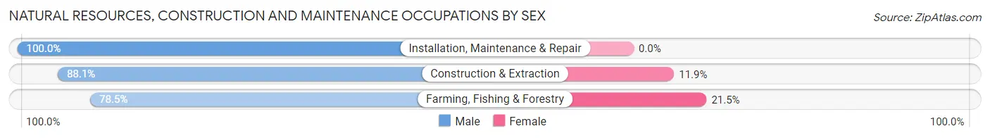 Natural Resources, Construction and Maintenance Occupations by Sex in Zip Code 49887