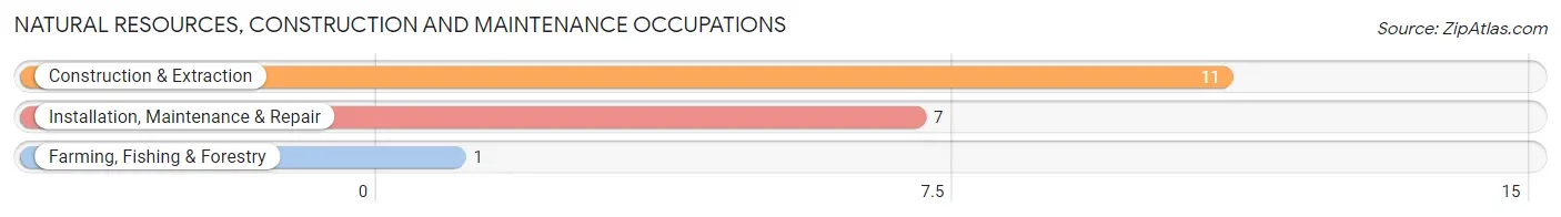 Natural Resources, Construction and Maintenance Occupations in Zip Code 49891