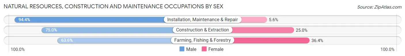 Natural Resources, Construction and Maintenance Occupations by Sex in Zip Code 49892