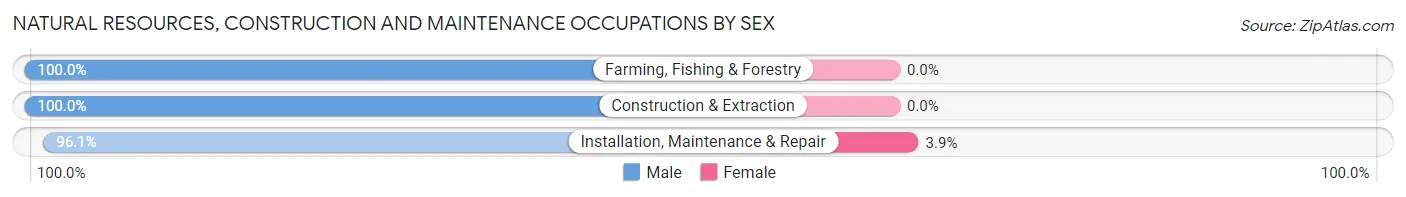 Natural Resources, Construction and Maintenance Occupations by Sex in Zip Code 49893