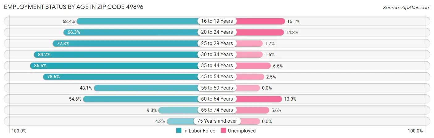 Employment Status by Age in Zip Code 49896