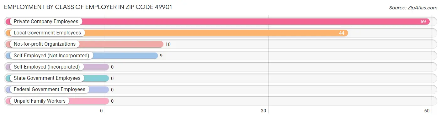 Employment by Class of Employer in Zip Code 49901