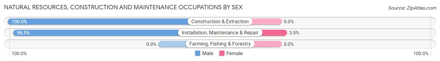 Natural Resources, Construction and Maintenance Occupations by Sex in Zip Code 49905