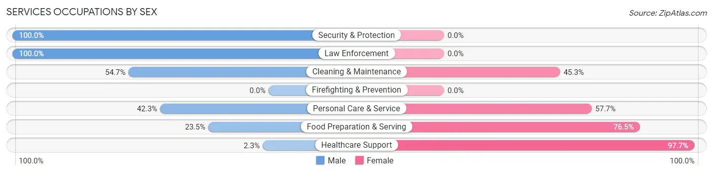 Services Occupations by Sex in Zip Code 49911