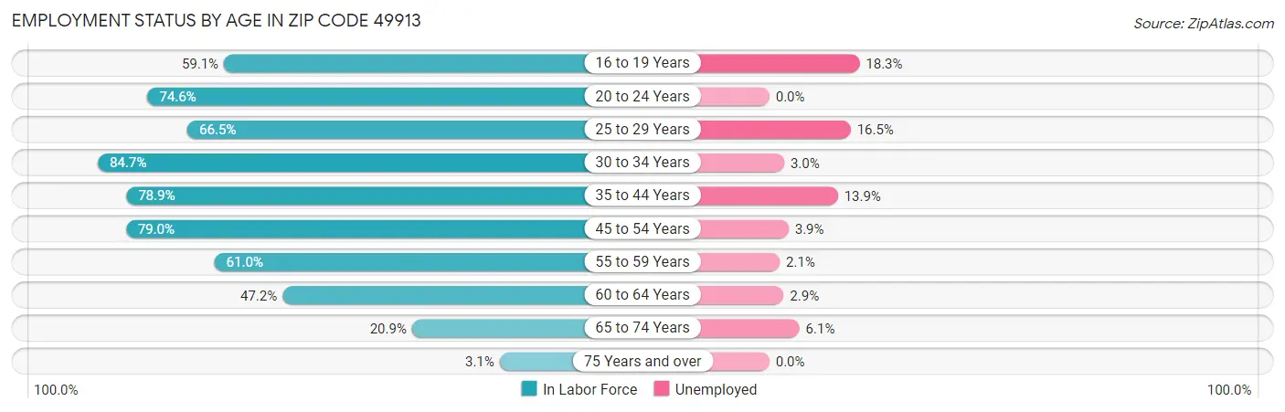 Employment Status by Age in Zip Code 49913