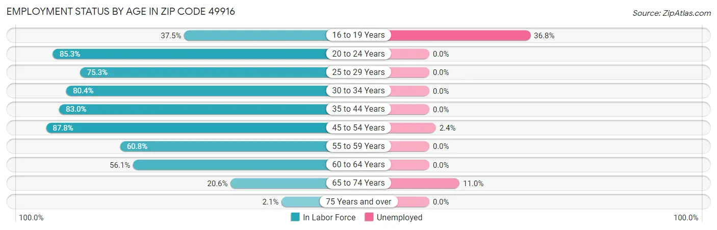 Employment Status by Age in Zip Code 49916