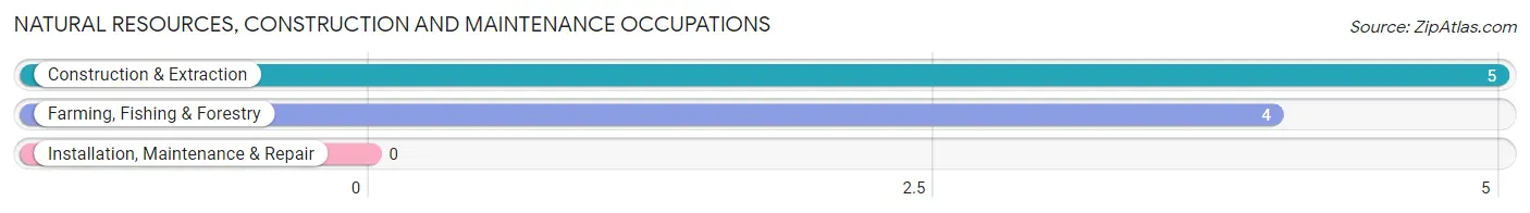 Natural Resources, Construction and Maintenance Occupations in Zip Code 49919