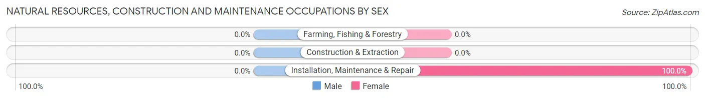 Natural Resources, Construction and Maintenance Occupations by Sex in Zip Code 49921