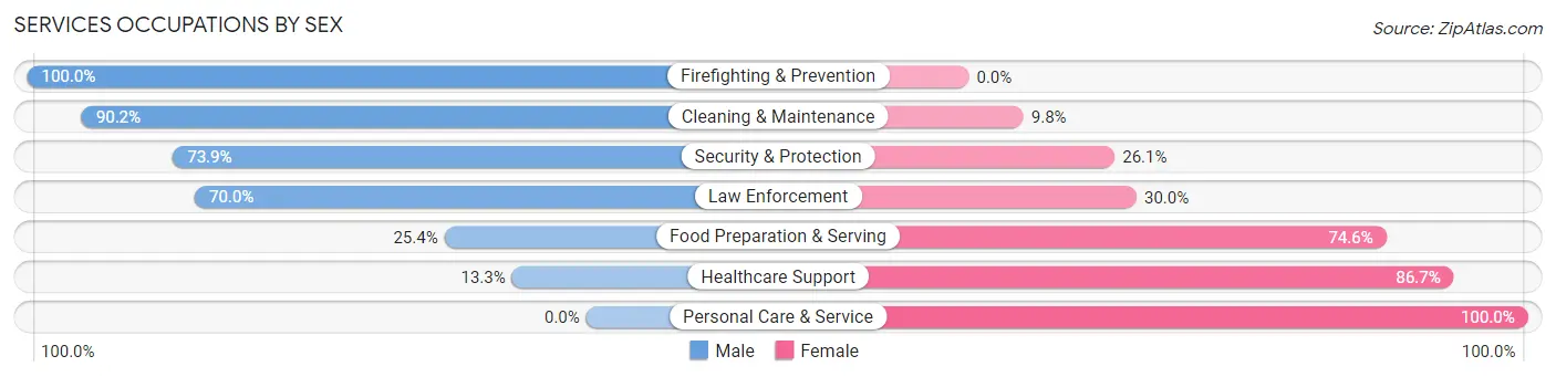 Services Occupations by Sex in Zip Code 49935