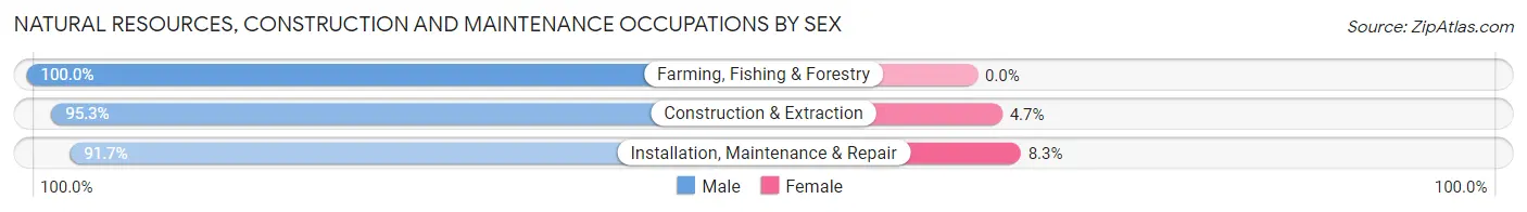 Natural Resources, Construction and Maintenance Occupations by Sex in Zip Code 49938