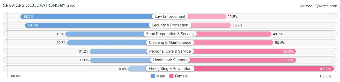 Services Occupations by Sex in Zip Code 49938