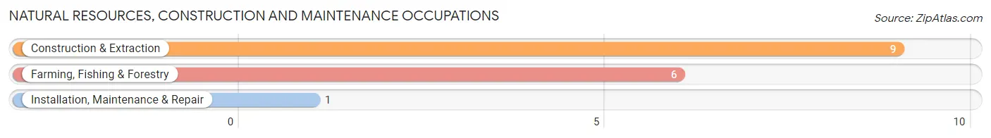 Natural Resources, Construction and Maintenance Occupations in Zip Code 49948