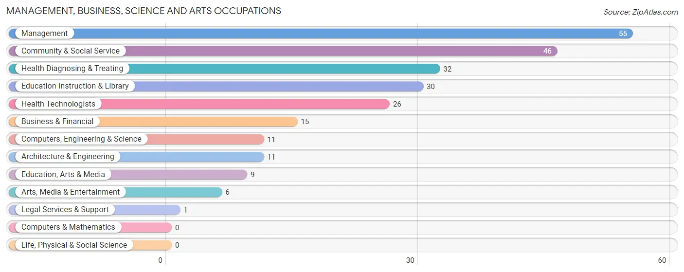 Management, Business, Science and Arts Occupations in Zip Code 49950