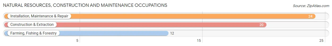 Natural Resources, Construction and Maintenance Occupations in Zip Code 49955