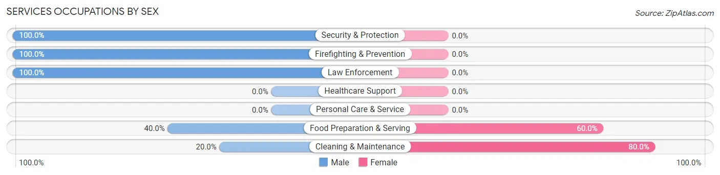 Services Occupations by Sex in Zip Code 49965