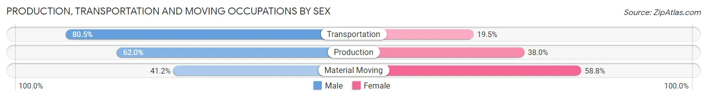 Production, Transportation and Moving Occupations by Sex in Zip Code 49968