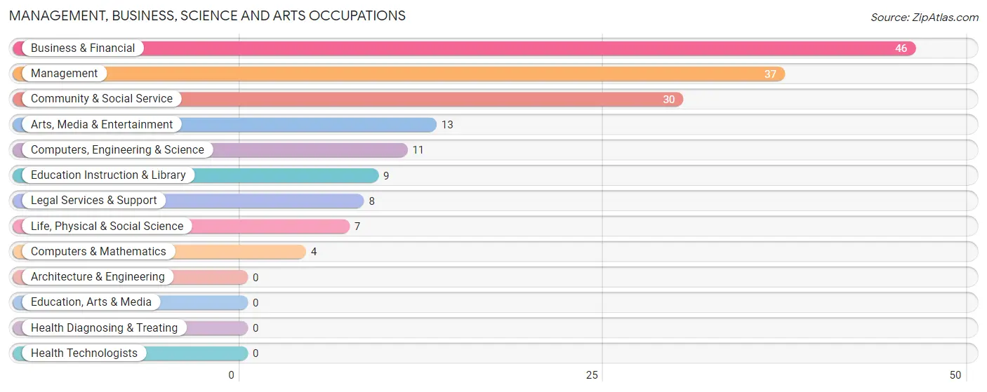 Management, Business, Science and Arts Occupations in Zip Code 49969