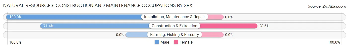 Natural Resources, Construction and Maintenance Occupations by Sex in Zip Code 49971