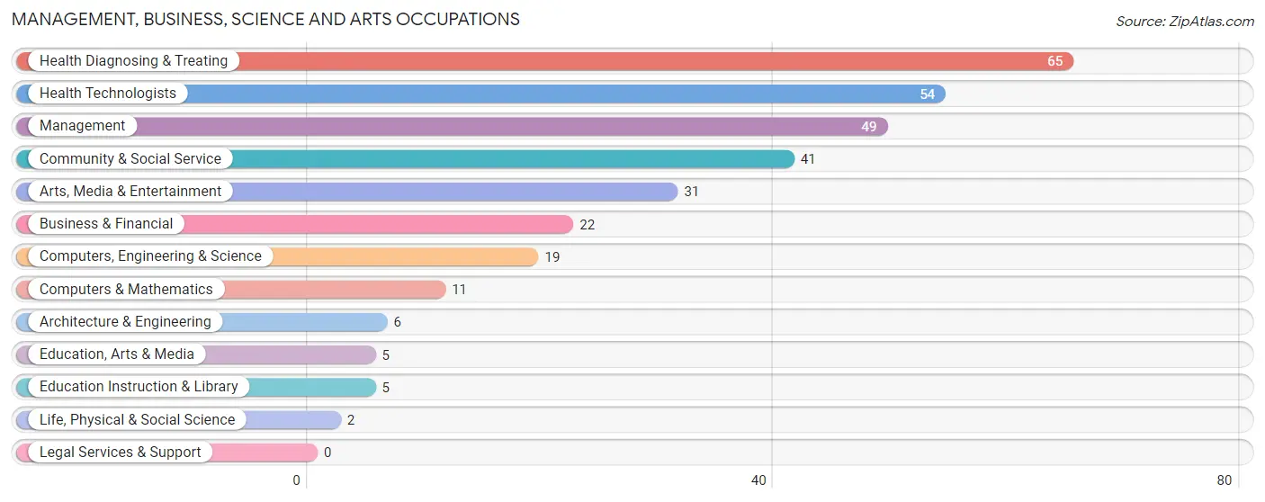 Management, Business, Science and Arts Occupations in Zip Code 50001