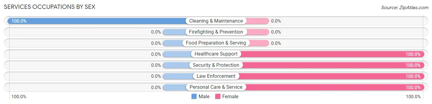 Services Occupations by Sex in Zip Code 50001