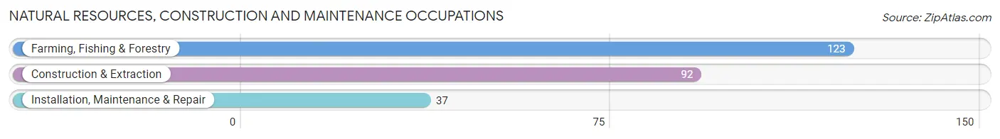 Natural Resources, Construction and Maintenance Occupations in Zip Code 50025