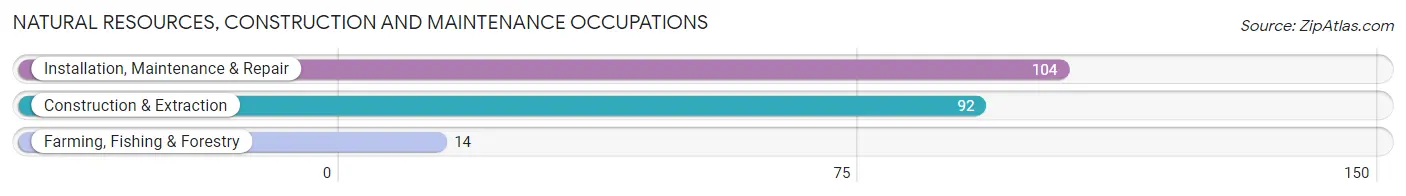 Natural Resources, Construction and Maintenance Occupations in Zip Code 50028