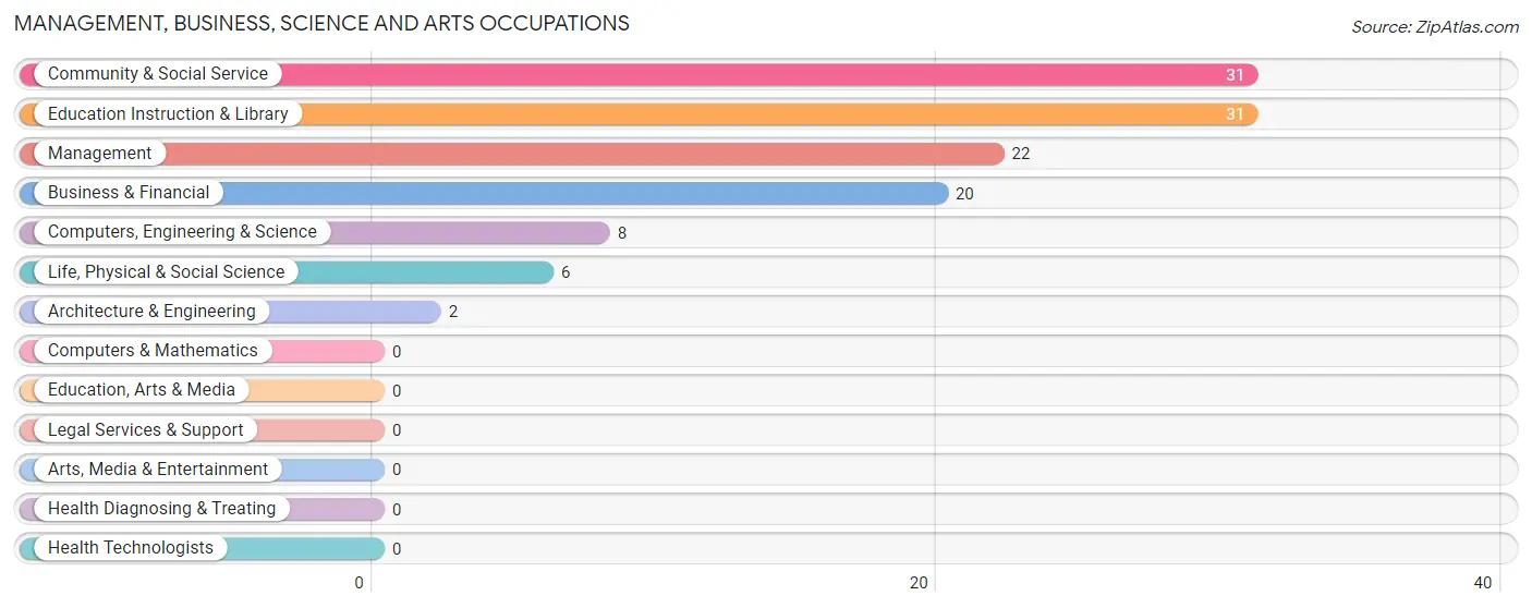 Management, Business, Science and Arts Occupations in Zip Code 50039