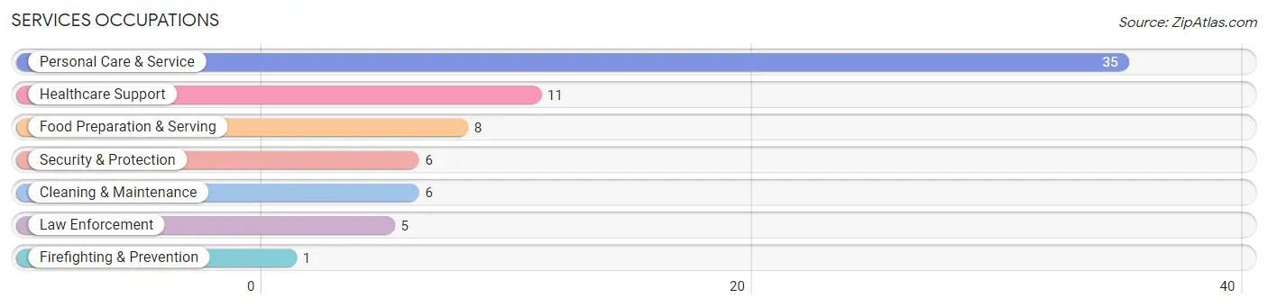 Services Occupations in Zip Code 50039