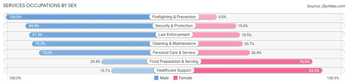 Services Occupations by Sex in Zip Code 50047