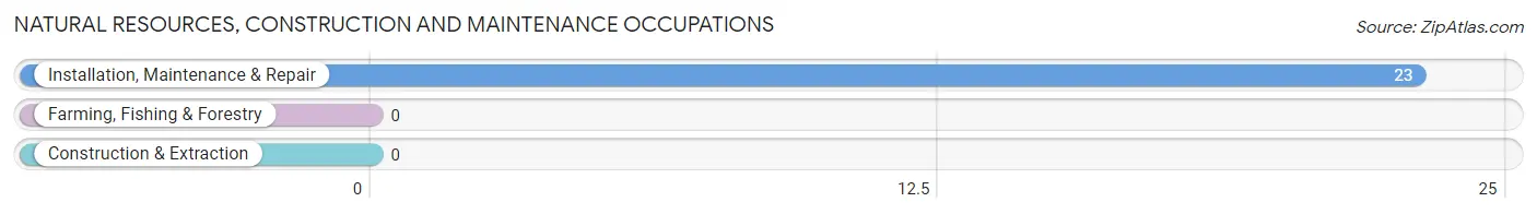 Natural Resources, Construction and Maintenance Occupations in Zip Code 50102