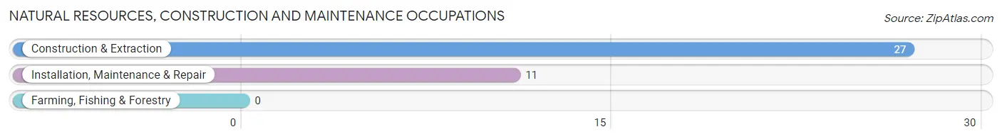 Natural Resources, Construction and Maintenance Occupations in Zip Code 50218