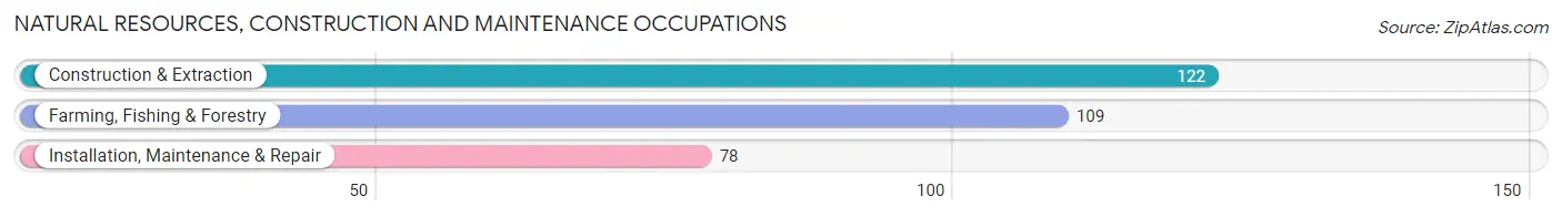 Natural Resources, Construction and Maintenance Occupations in Zip Code 50237