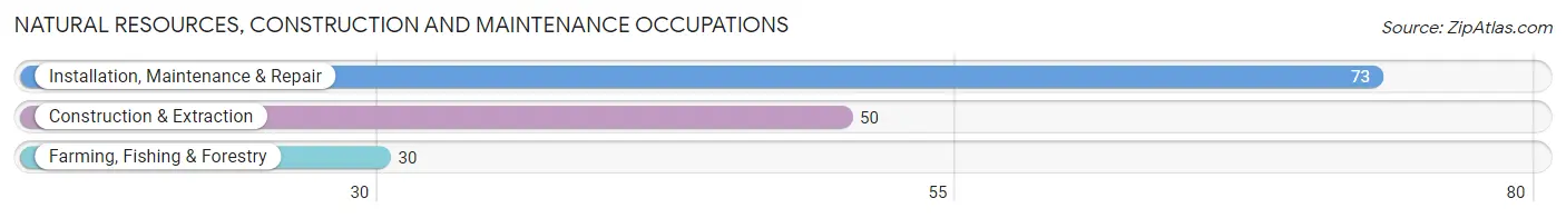 Natural Resources, Construction and Maintenance Occupations in Zip Code 50248