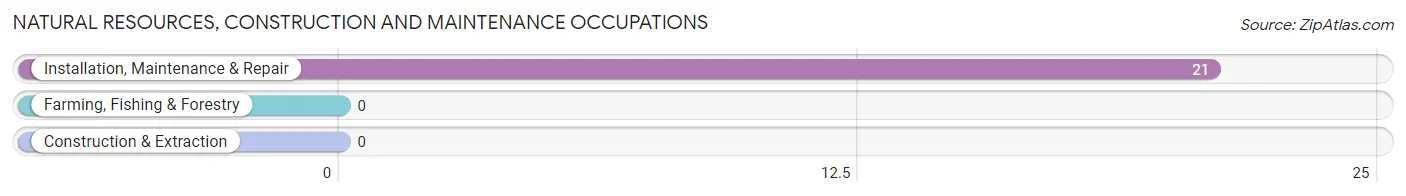 Natural Resources, Construction and Maintenance Occupations in Zip Code 50252