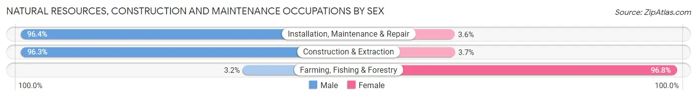 Natural Resources, Construction and Maintenance Occupations by Sex in Zip Code 50315