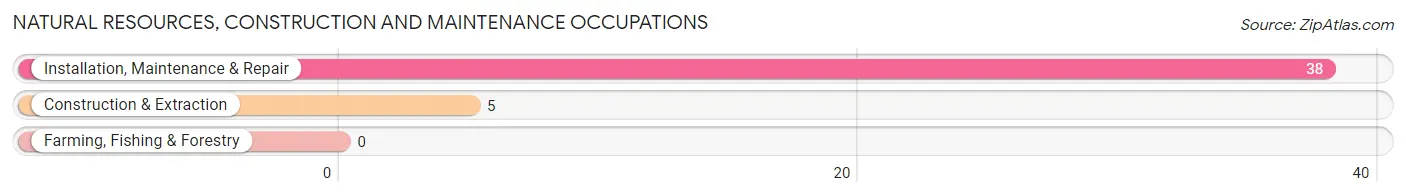 Natural Resources, Construction and Maintenance Occupations in Zip Code 50440