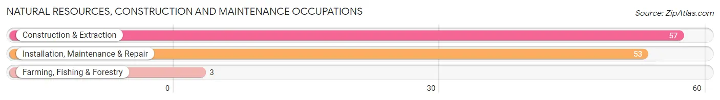 Natural Resources, Construction and Maintenance Occupations in Zip Code 50456