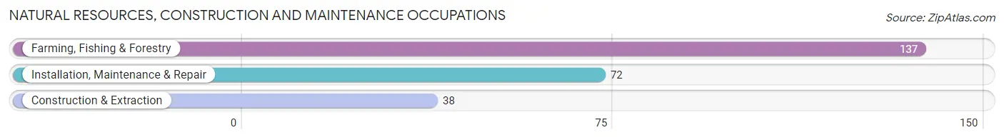 Natural Resources, Construction and Maintenance Occupations in Zip Code 50525