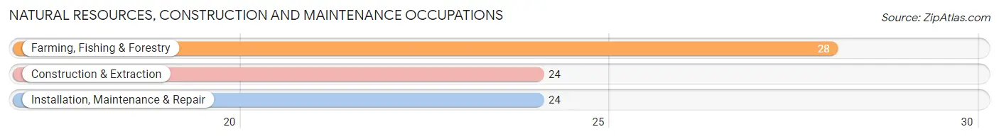 Natural Resources, Construction and Maintenance Occupations in Zip Code 50541