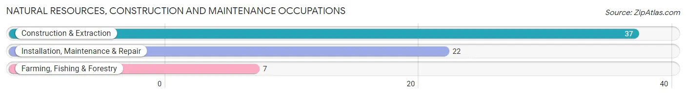 Natural Resources, Construction and Maintenance Occupations in Zip Code 50557