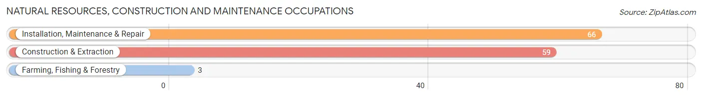 Natural Resources, Construction and Maintenance Occupations in Zip Code 50563