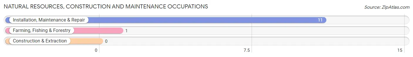 Natural Resources, Construction and Maintenance Occupations in Zip Code 50594