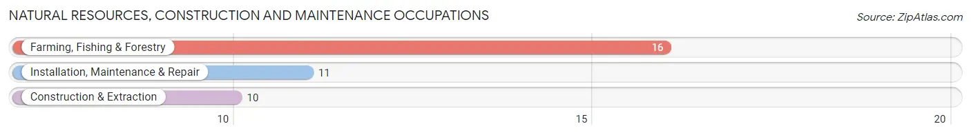 Natural Resources, Construction and Maintenance Occupations in Zip Code 50660