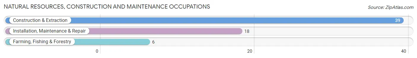 Natural Resources, Construction and Maintenance Occupations in Zip Code 50668