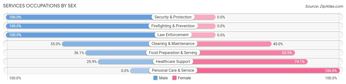 Services Occupations by Sex in Zip Code 50669