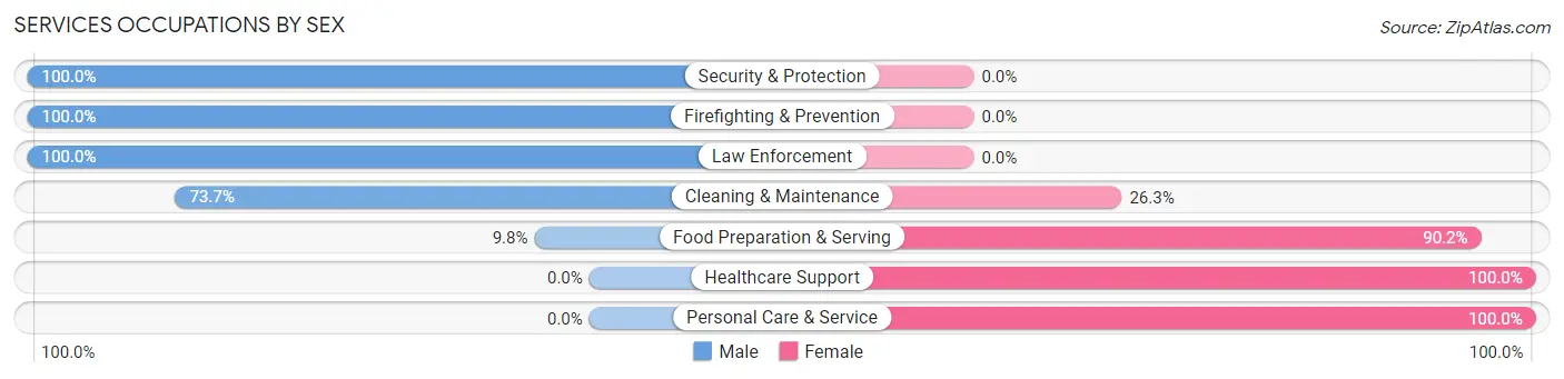 Services Occupations by Sex in Zip Code 51003