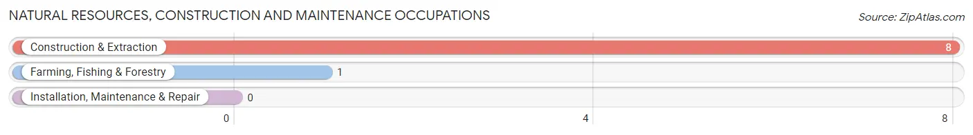 Natural Resources, Construction and Maintenance Occupations in Zip Code 51011